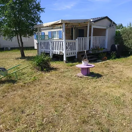 Camping Mobil Près Du - Poney *